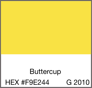 Yellow and black striped Turkish towel, lightweight, textured fabric with fringed edges, laid flat on a neutral surface.