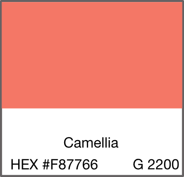 Coral and black striped Turkish towel with fringed edges, folded neatly on a flat surface.